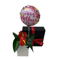 Bloom and Balloon